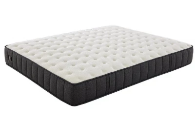 Hamilton IONIC ENERGY PRO -...