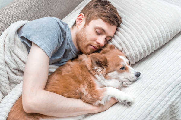 Spanie z psem lub kotem – czy pupil powinien spać w naszym łóżku?