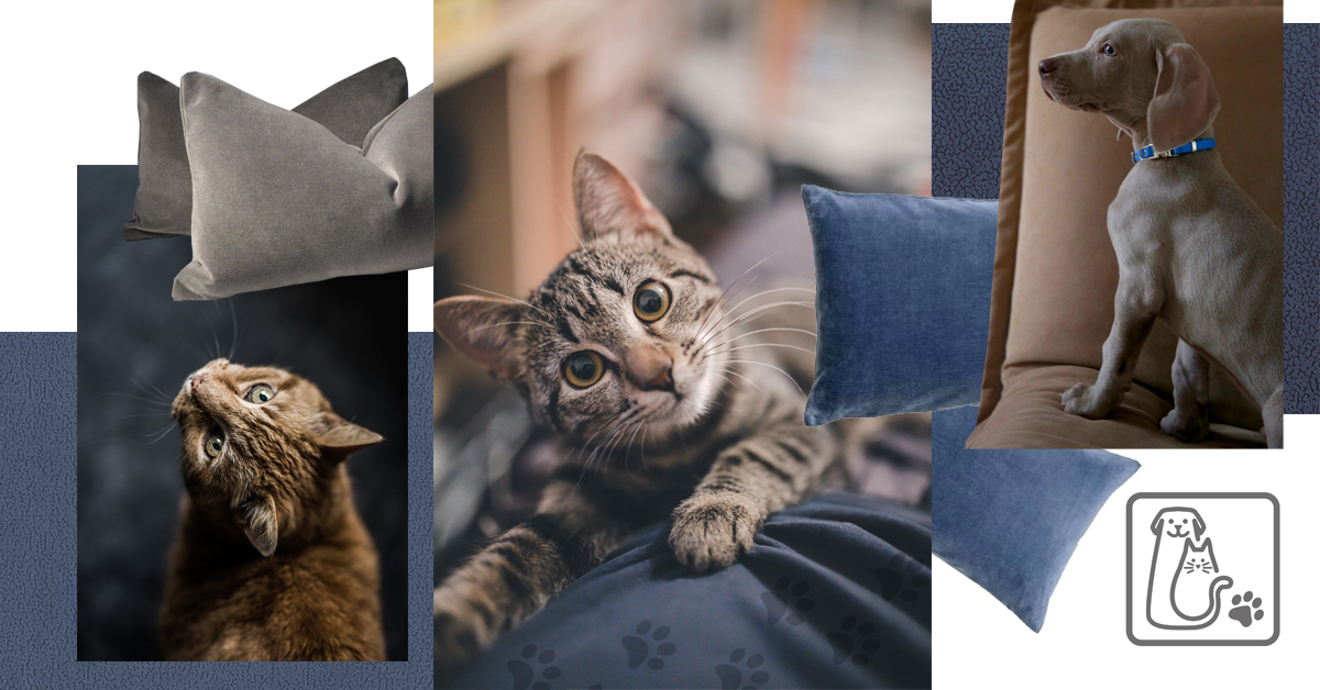 Kolaż ze zdjęciami kotów na tkaninie odpornej na pazury